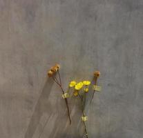 Yellow flowers on concrete photo