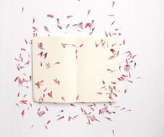 Open notebook covered in petals photo