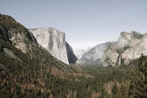 Green trees near mountains in Yosemite Valley, California photo