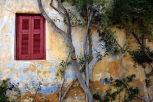 Athens, Greece, 2020 - Rustic home covered with a tree photo