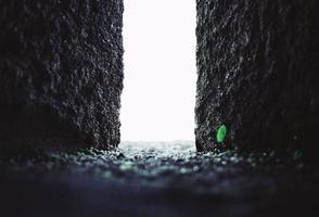 Abstract concrete opening with tiny green plant photo