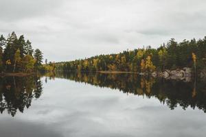 Reflections of the trees in the river photo