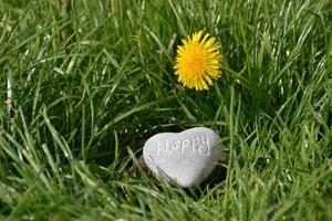 Piedra gris en forma de corazón sobre la hierba verde foto