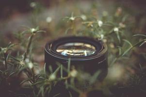 Camera lens surrounded by green outdoor grass photo