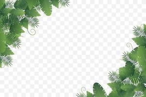 Corner frame of various wild leaves vector