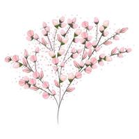 Pink buds flowers bouquet painting vector