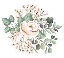 White rose flower with buds and leaves painting vector