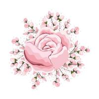 Buds around pink rose flower painting vector