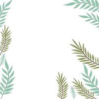 Patterns of branch with leaf in white background vector