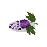 Grape bunches Fruit Flat color and leaves vector