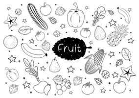 frutas en estilo doodle o boceto aislado sobre fondo blanco vector