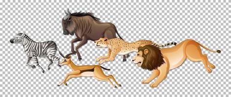 Group of wild African animals on transparent background vector