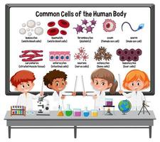 Muchos jóvenes científicos explican las células comunes del cuerpo humano frente a un tablero con elementos de laboratorio. vector