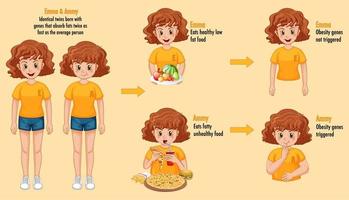 Roles of genes and environment. Body fat in identical twins infographic. vector