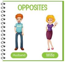 palabras opuestas con marido y mujer vector