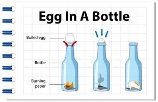 experimento científico con huevo en una botella. vector