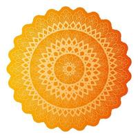 Mandala of color orange tiger vector