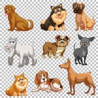 Set of different dogs isolated vector