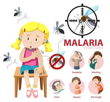 Malaria symptom information infographic