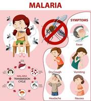 Malaria symptom information infographic vector