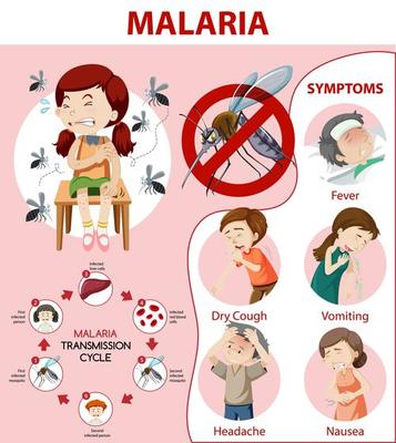 Malaria symptom information infographic