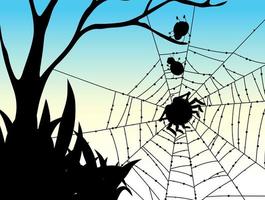 Shadow of spider web nature background vector