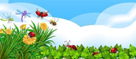 Empty nature background with many different insects vector