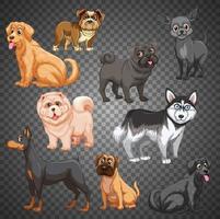 Set of different dogs isolated vector
