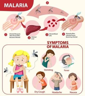 Malaria symptom information infographic