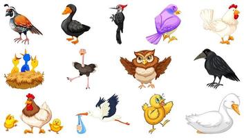 Set of different birds cartoon style isolated on white background vector