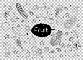 muchas frutas en estilo doodle o boceto aislado sobre fondo transparente vector