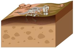 Soil layers with dinosaur fossil vector