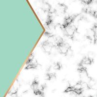 Marble texture design with golden geometric lines vector