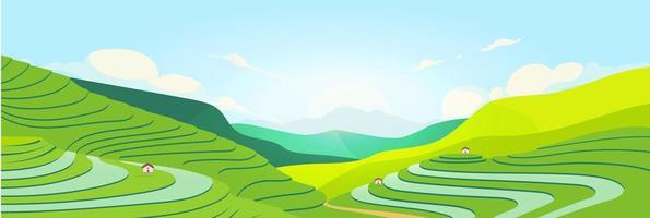 Terraced fields at sunset vector