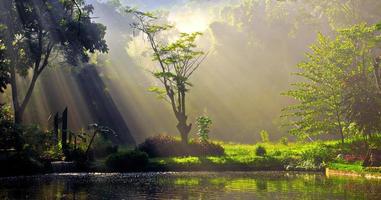 rayos de luz soleados en un lago foto