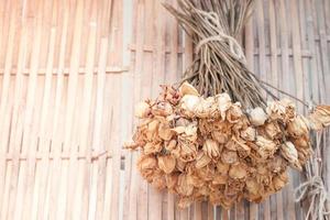 Close-up of dried flowers photo