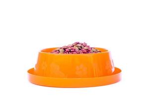 Dry cat food in an orange bowl isolated on a white background photo