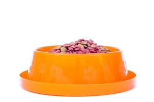 Bowl of dry cat food photo