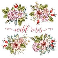 Wild Roses Bouquets Collection vector