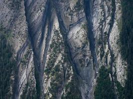 Aerial photograph of forest photo