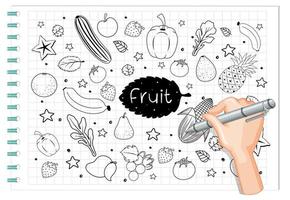 Hand drawing fruit in doodle or sketch style on paper