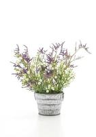 Statice and caspia flowers in a vase on white background photo