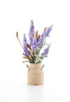 Statice and caspia flowers in a vase on white background photo