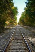 Train rail between green trees during daytime photo