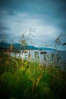 Grass and the beach photo