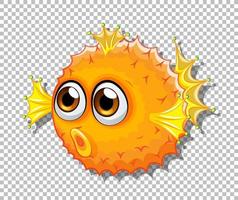 Cute puffer fish with big eyes cartoon character vector