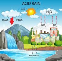 diagrama que muestra el camino de la lluvia ácida vector