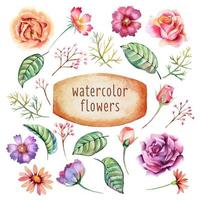 Watercolor flowers collection vector