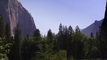 uma floresta de pinheiros aninhada em um desfiladeiro de Yosemite video