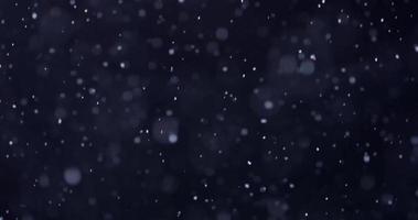 Dark winter template with snow falling vertically drawing curved lines in 4K video